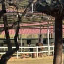 선산고을 | 구미선산맛집, 오리고리불고기맛집 일선고을 방문솔직후기.