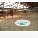 한우나라 이미지