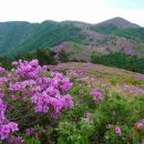 근화당약국 이미지