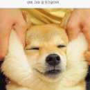 공감치과 이미지