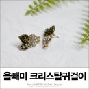 시니몰