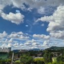 으뜸목장 | 국립중앙박물관 카페 으뜸홀 카페 메뉴 가격 웨이팅