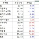 [비주] 엑셀 비주얼베이직에서 이미지