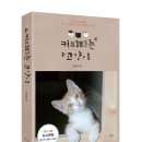 커피타는 고양이 이미지