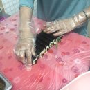 라벤다꼬마김밥