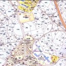 대선월드피아 이미지