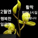 2월4일 화요일 오늘의 책속의 한마디 이미지