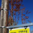 사물