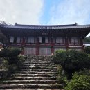 다솔사길 | 경남 사천 여행 다솔사 녹차밭 절 사찰