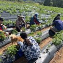 다향울림촌 이미지