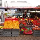 토리에트 이미지