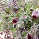 정남 민박 이미지