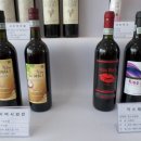 와인연구소
