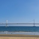 스시웨이브
