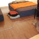 달콤한 캠핑장 이미지