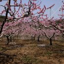 소야경로당 이미지