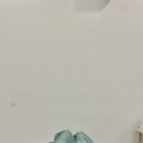 리프에스테틱
