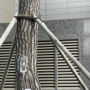 블리크스틸 네이버블로그