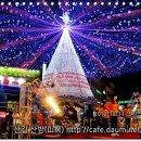 크리스마스 트리 축제 이미지