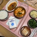 2월 일상 :: 난소기형종 5년만의 재발/ 아산병원 재수술/ 2박3일 입원 후 집에서 요양