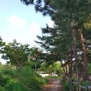 동부OK공인중개사사무소 이미지