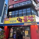 [종로] 40년 전통 이모네 왕곱창 내돈내산 후기