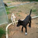 산들바농장 이미지