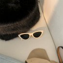 날라리 캣 이미지