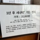 시나미