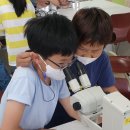 전남대학교 농업실습교육원 이미지