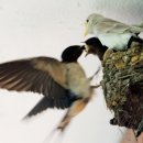 화목환경 이미지