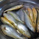 휘성농장 이미지