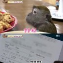 장문농장 이미지