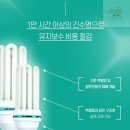 삼파장