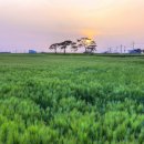 호미곶관광단지 이미지