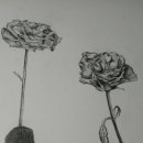 그림 스케치 이미지