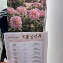 유리헤어(Yuri Hair) | 용인 역북동 미용실 “See spot hair” 남자 컷트 후기