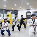 진인태권도장 네이버블로그