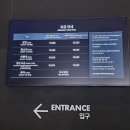 프라자아르떼미술학원 | 강릉 실내 체험 아르떼뮤지엄 볼거리 많은 미디어아트!(내돈내산 솔직후기)