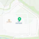널디롯데강남