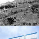 연세대학교 연세유업 이미지
