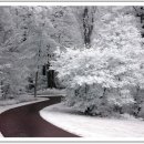 자연이야기 이미지