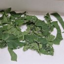 새장유어린이집 이미지