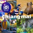 모바일로 떠나는 특별한 자유여행과 사진 (1)(1) | 태국 치앙마이 자유여행 단독 패키지 3박5일 후기