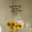카페이에프(CAFE 2F) | 제주 이호테우 카페 [코메트 이에프] 바닷가 보이는 'comet 2f'