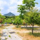 섬진강마실캠핑장 이미지