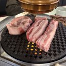 시흥에이블타워 | 시흥 _ 도심에서 느끼는 제주 바이브 제줏간 시흥장곡점