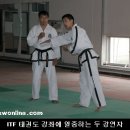 용인대챔피온태권도 이미지