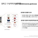 봄꽃한의원 네이버블로그