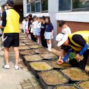 구즉초등학교(병설) 이미지